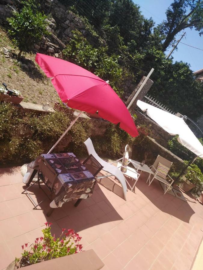 La Rosa Hotel Ameglia Luaran gambar